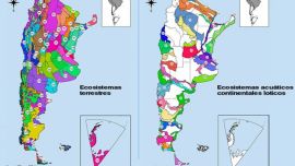 Científicos argentinos logran la radiografía más completa de nuestra naturaleza