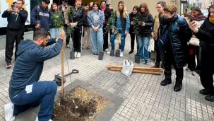 forestando cordoba azur 