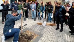 forestando cordoba azur 