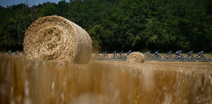 El pelotón de ciclistas pasa junto a fardos de heno en un campo durante la octava etapa de la 113.ª edición del Tour de Francia, un recorrido de 180,4 km entre Périgueux y Bergerac, en el suroeste de Francia.