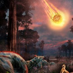 El estudio apunta a que fue una condrita carbonácea de la clase Ornans, que no se parecen en absoluto a los meteoritos típicos que se encuentran en las colecciones de los museos.