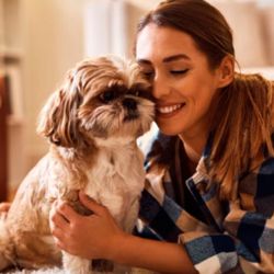 Cada 21 de julio, los perros tienen su merecido homenaje mundial.