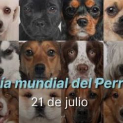 Esta emblemática efeméride internacional comenzó a visibilizarse oficialmente en 2004.