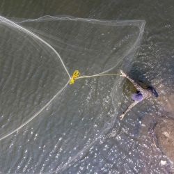 Esta fotografía aérea muestra a un pescador lanzando una red en un río de Tangerang, provincia de Banten, mientras el nivel del agua desciende, en parte debido al impacto de El Niño, que ha provocado una prolongada estación seca y una sequía extrema, amenazando la seguridad alimentaria en varias regiones de Indonesia. La Agencia de Meteorología, Climatología y Geofísica de Indonesia (BMKG) ha advertido que la estación seca del país será más intensa y prolongada de lo habitual, en parte debido a que el fenómeno meteorológico de El Niño aumenta el riesgo de incendios forestales y sequías. | Foto:BAY ISMOYO / AFP