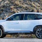Renault Boreal