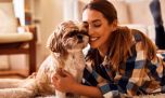 Día Mundial del Perro: los mejores 5 regalos para sorprender a tu fiel amigo en su festejo