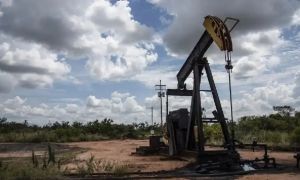 Petróleo