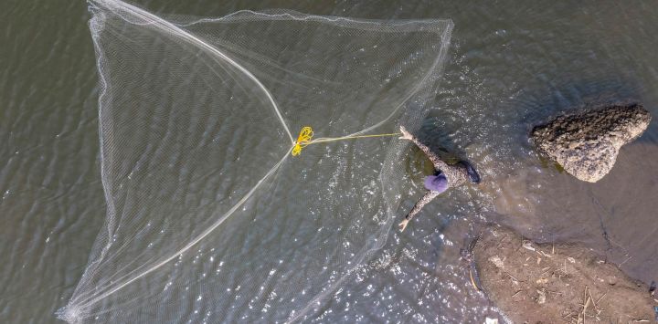 Esta fotografía aérea muestra a un pescador lanzando una red en un río de Tangerang, provincia de Banten, mientras el nivel del agua desciende, en parte debido al impacto de El Niño, que ha provocado una prolongada estación seca y una sequía extrema, amenazando la seguridad alimentaria en varias regiones de Indonesia. La Agencia de Meteorología, Climatología y Geofísica de Indonesia (BMKG) ha advertido que la estación seca del país será más intensa y prolongada de lo habitual, en parte debido a que el fenómeno meteorológico de El Niño aumenta el riesgo de incendios forestales y sequías.