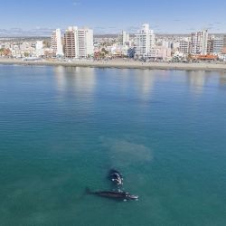 Puerto Madryn.