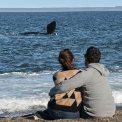 Puerto Madryn.