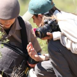 La Escuela Argentina de Naturalistas lleva más de 30 años formando naturalistas de campo e intérpretes del patrimonio.