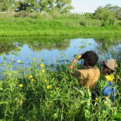 Las materias son dictadas por distinguidos docentes, investigadores, naturalistas y técnicos especializados en la temática científica y ambiental. 