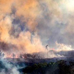 Palestinos caminan entre el humo mientras un incendio arde cerca de la aldea de Tell, adyacente al asentamiento israelí de Havat Gilad, al oeste de Nablus, en la Cisjordania ocupada, tras un presunto ataque incendiario perpetrado por colonos israelíes contra la aldea, según testigos presenciales. Varios incendios se desataron en el norte de Cisjordania, obligando a la evacuación del asentamiento israelí de Havat Gilad y dejando al menos dos bomberos heridos, según la policía y los equipos de rescate. | Foto:JAAFAR ASHTIYEH / AFP