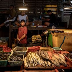 Vendedores esperaban clientes en el mercado de pescado de Shwe Padauk, en Yangon, Myanmar. Los mercados de Shwe Padauk y el antiguo mercado de San Pya son eslabones fundamentales de la cadena alimentaria de Yangon, puntos de tránsito de proteínas que alimentan a millones de personas en toda la ciudad. | Foto:Sai Aung Main / AFP