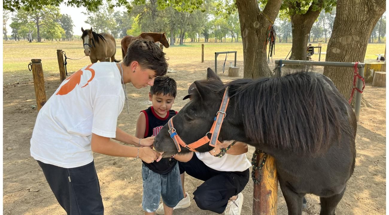 Fundación Emociones al Galope: El poder terapéutico de los caballos que transforma vidas