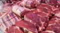 Carne