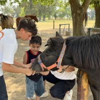 Fundación Emociones al Galope: El poder terapéutico de los caballos que transforma vidas