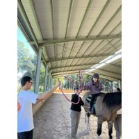 Fundación Emociones al Galope: El poder terapéutico de los caballos que transforma vidas