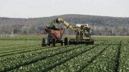Agro