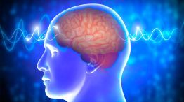 Día Mundial del Cerebro 22072026