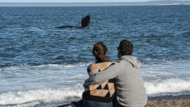 Puerto Madryn.