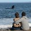 0722_madryn