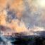 Fotogaleria Palestinos caminan entre el humo mientras un incendio arde cerca de la aldea de Tell, adyacente al asentamiento israelí de Havat Gilad, al oeste de Nablus, en la Cisjordania ocupada, tras un presunto ataque incendiario perpetrado por colonos