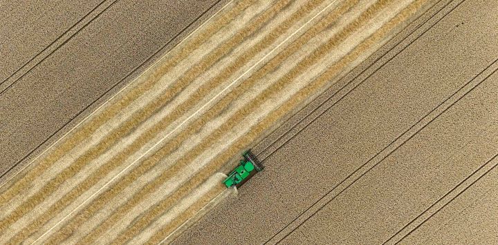 Una vista aérea muestra una cosechadora atravesando un campo mientras corta el grano cerca de Niederkassel, en el oeste de Alemania.