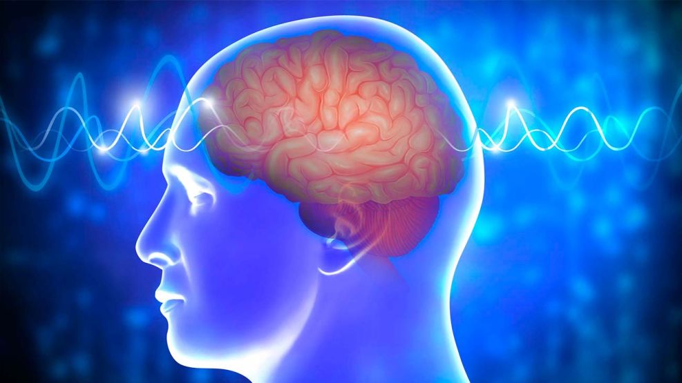 Día Mundial del Cerebro 22072026