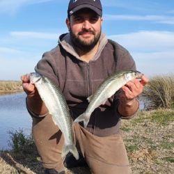 Si bien todavía se trata de un movimiento inicial, la aparición de los primeros ejemplares suele marcar el comienzo de una etapa muy esperada por los pescadores, quienes llegan desde distintos puntos para intentar capturar ejemplares robustos y de excelente calidad. (Imágenes de archivo)