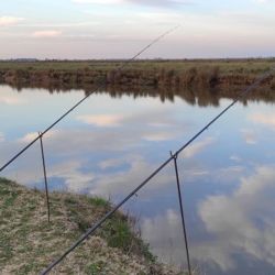 Si bien todavía se trata de un movimiento inicial, la aparición de los primeros ejemplares suele marcar el comienzo de una etapa muy esperada por los pescadores, quienes llegan desde distintos puntos para intentar capturar ejemplares robustos y de excelente calidad. (Imágenes de archivo)