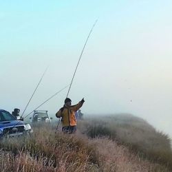 Si bien todavía se trata de un movimiento inicial, la aparición de los primeros ejemplares suele marcar el comienzo de una etapa muy esperada por los pescadores, quienes llegan desde distintos puntos para intentar capturar ejemplares robustos y de excelente calidad. (Imágenes de archivo)