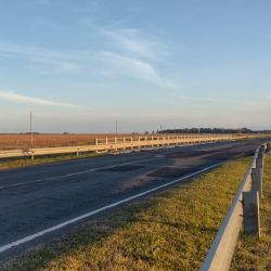 Si bien todavía se trata de un movimiento inicial, la aparición de los primeros ejemplares suele marcar el comienzo de una etapa muy esperada por los pescadores, quienes llegan desde distintos puntos para intentar capturar ejemplares robustos y de excelente calidad. (Imágenes de archivo)
