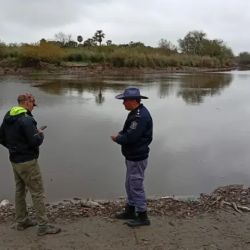 La resolución busca impedir no solo la extracción de peces, sino también su consumo y comercialización, ya que todavía no existen certezas sobre las causas que provocaron la muerte masiva de ejemplares.