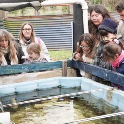 La iniciativa, organizada junto con la Secretaría de Turismo, contempla visitas guiadas en las que los asistentes pueden recorrer las instalaciones y descubrir el trabajo diario que realiza el personal técnico.
