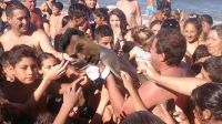 Los memes de Lionel Scaloni en Pujato