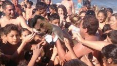 Los memes de Lionel Scaloni en Pujato