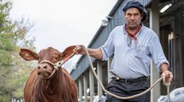 Caravanas para identificación animal y trazabilidad