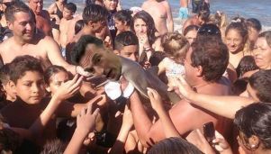 Los memes de Lionel Scaloni en Pujato