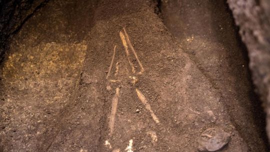 Descubren un esqueleto humano de 3000 años