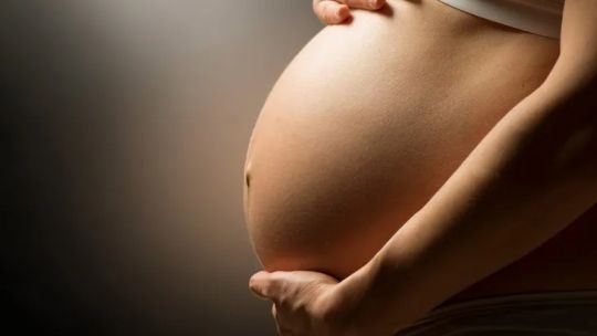 Por qué cayó el interés de los argentinos por tener hijos