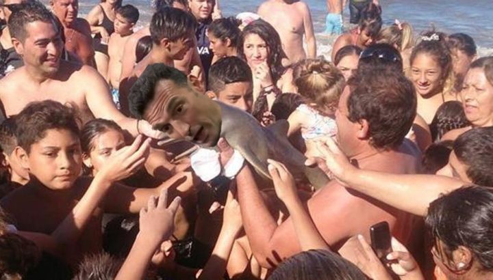 Los memes de Lionel Scaloni en Pujato