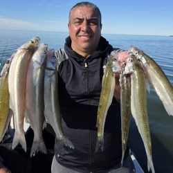 2407_mapa_pique_pesca