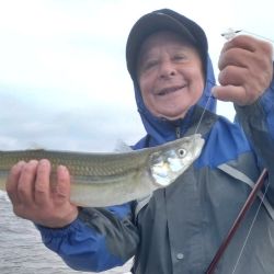 2407_mapa_pique_pesca