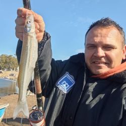 2407_mapa_pique_pesca