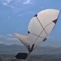 Sus creadores se inspiraron en los movimientos de las aves marinas, que se zambullen desde el aire al mar para capturar su presa.