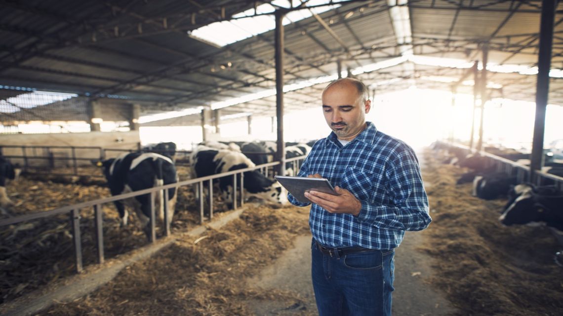 AgTech impulsa la eficiencia ganadera mediante la toma de datos