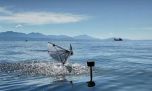 Crearon un robot de 300 gramos que imita a las aves y puede volar y bucear