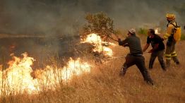 España: Incendios forestales 24072026