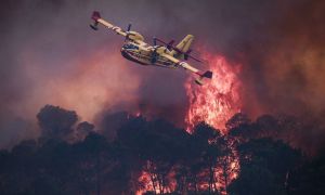 Incendios forestales en Francia 24072026